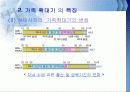 가족확대기의 정의와 특징및 문제점과 해결방안(A+파포) 13페이지