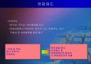 삼성전자의 인사관리 완벽분석 18페이지