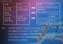 삼성전자의 인사관리 완벽분석 36페이지