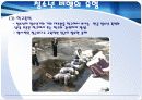 청소년비행의실태와 원인및 해결방안 9페이지