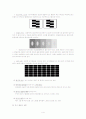 착시 (Optical illusion) 4페이지