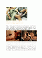 플레이스테이션의 브랜드 디자인 마케팅 13페이지
