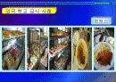 중, 고등학교 급식시설 조사 20페이지
