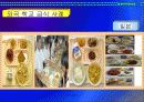중, 고등학교 급식시설 조사 21페이지