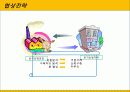 협상전략 3페이지