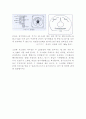 발전기의원리 및 병렬운전과정의 전압, 주파수, 위상검출시스템 및 신호처리(Oscilloscope), AVR 동작특성 동기화 전류 26페이지