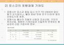 포항에 철강업이 발달한 배경과 철강업이 포항경제에 미치는 영향 8페이지