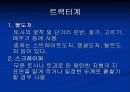 건설장비 및 설비안전 6페이지