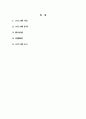 리눅스상에서 POP3 Mail Client 의 구현 2페이지