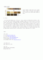 2007 S/S , F/W 시즌과 2008 S/S, F/W 시즌의 컬렉션을 통한 유행 컬러 예측 분석 11페이지