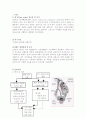 COPD(만성폐쇄성질환) 사례연구 보고서 2페이지