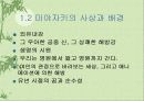 미야자키 하야호의 영화 4페이지