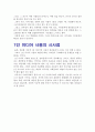 1인 미디어의 등장 3페이지
