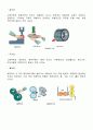 산업안전간호)정기안전보건교육9월 교안 - 협착재해의 발생과 예방. 만성위염의 치료과 예방법 3페이지
