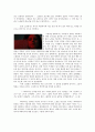 양들의 침묵 - 영화와 원작 소설의 비교분석을 통해 본 영화의 예술성 7페이지