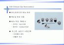 자동차 배출가스의 처리방법-디젤자동차 16페이지