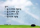 광고규제 - 부당광고 사례조사 및 분석 2페이지