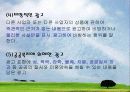 광고규제 - 부당광고 사례조사 및 분석 13페이지