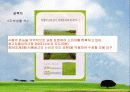 광고규제 - 부당광고 사례조사 및 분석 16페이지