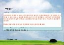 광고규제 - 부당광고 사례조사 및 분석 17페이지