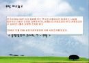 광고규제 - 부당광고 사례조사 및 분석 18페이지
