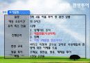 [관광경영] 사례를 통해 본의료 관광의 활성화 가능성 연구 10페이지