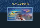 자본시장의 통합방법 1페이지