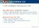 자본시장의 통합방법 11페이지