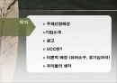 [A+]다음 UCC광고분석(마빡이)★★★★★ 2페이지