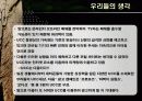 [A+]다음 UCC광고분석(마빡이)★★★★★ 11페이지