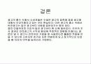 [A+]반전광고★★★★★ 10페이지