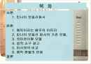 [A+]린나이 광고의 에릭의 광고가치분석★★★★★ 2페이지
