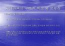 치매노인의 문제점과 해결방안 13페이지