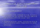치매노인의 문제점과 해결방안 19페이지