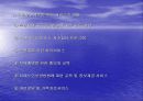 치매노인의 문제점과 해결방안 24페이지