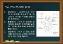 보이타의 7가지 자세반응 검사 방법 3페이지
