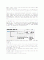 서브프라임모기지론의 영향, 대책, 전망 14페이지
