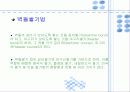 건축시공 조적공사 발표자료 현장사진 9페이지