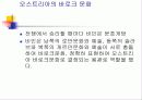 오스트리아, 스위스, 유대인 13페이지