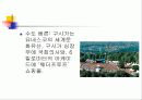 오스트리아, 스위스, 유대인 56페이지