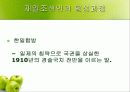 재일동포 발표 ppt 4페이지