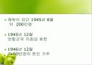 재일동포 발표 ppt 7페이지