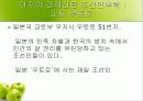 재일동포 발표 ppt 11페이지