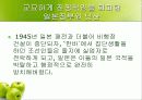 재일동포 발표 ppt 13페이지