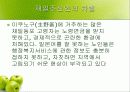 재일동포 발표 ppt 19페이지