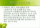 재일동포 발표 ppt 21페이지