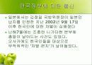 재일동포 발표 ppt 22페이지