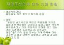 재일동포 발표 ppt 24페이지