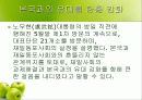 재일동포 발표 ppt 25페이지