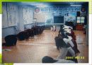 재일동포 발표 ppt 32페이지